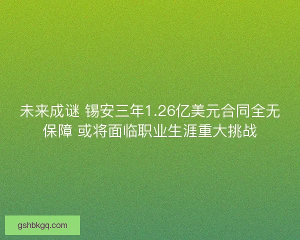 未来成谜 锡安三年1.26亿美元合同全无保障 或将面临职业生涯重大挑战